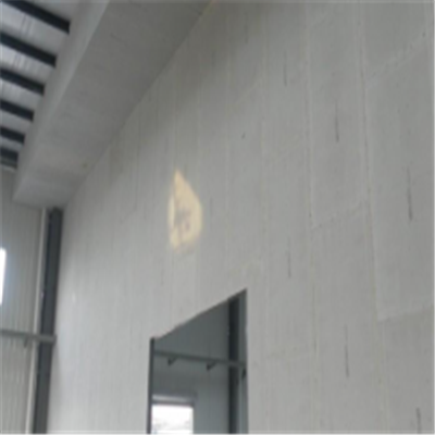 崇安新型建筑材料掺多种工业废渣的ALC|ACC|FPS模块板材轻质隔墙板